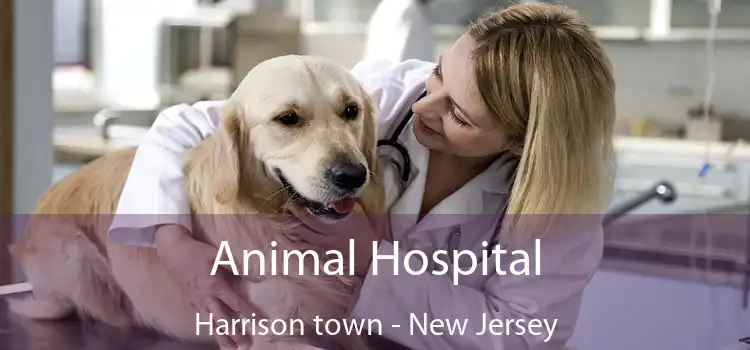 Animal Hospital Harrison town - New Jersey