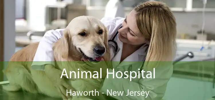 Animal Hospital Haworth - New Jersey