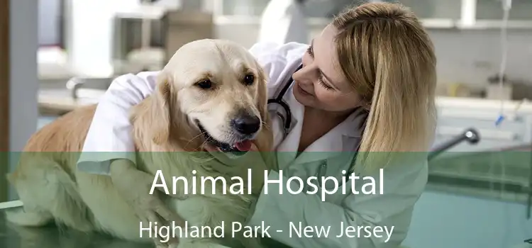 Animal Hospital Highland Park - New Jersey