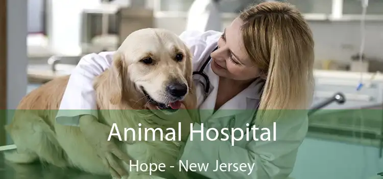 Animal Hospital Hope - New Jersey