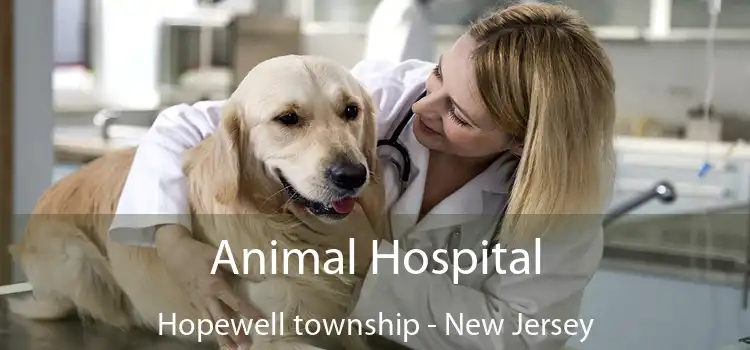 Animal Hospital Hopewell township - New Jersey