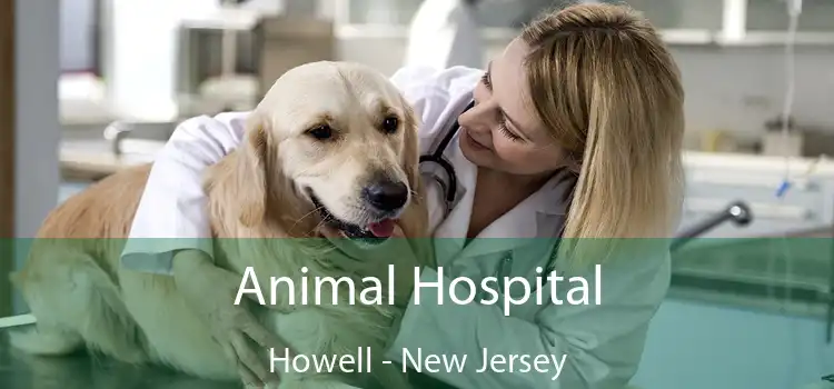 Animal Hospital Howell - New Jersey