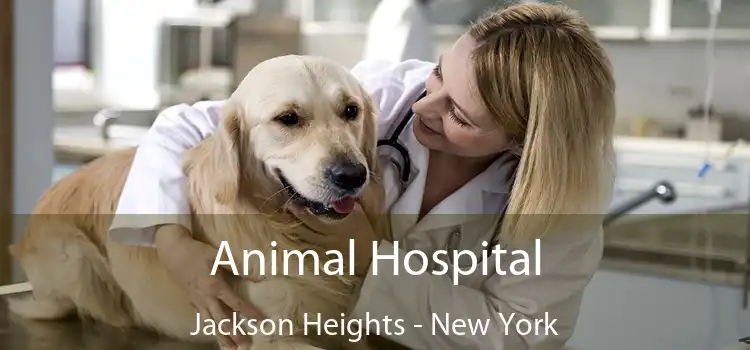 Animal Hospital Jackson Heights - New York