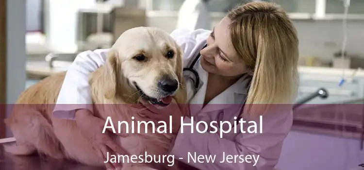 Animal Hospital Jamesburg - New Jersey