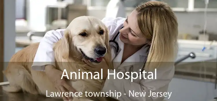 Animal Hospital Lawrence township - New Jersey