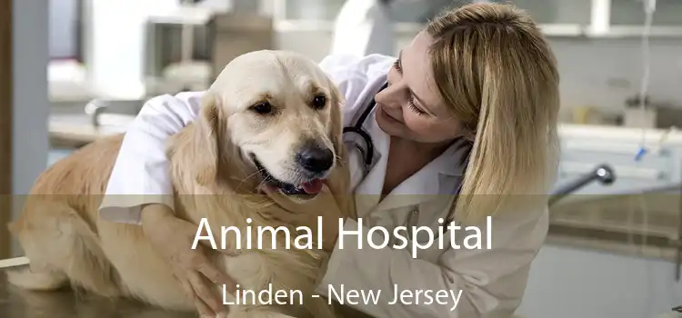 Animal Hospital Linden - New Jersey