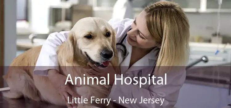 Animal Hospital Little Ferry - New Jersey