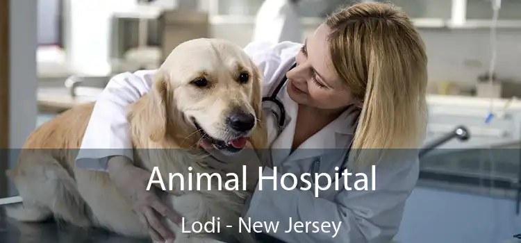 Animal Hospital Lodi - New Jersey