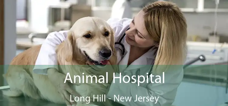 Animal Hospital Long Hill - New Jersey