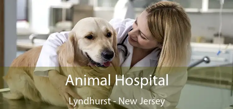 Animal Hospital Lyndhurst - New Jersey