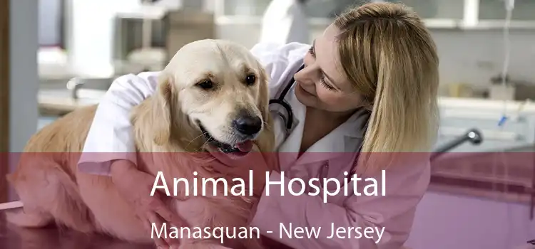 Animal Hospital Manasquan - New Jersey