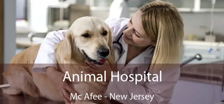 Animal Hospital Mc Afee - New Jersey