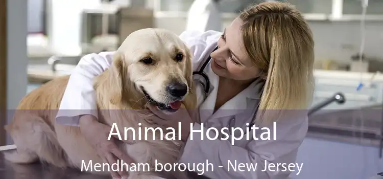 Animal Hospital Mendham borough - New Jersey