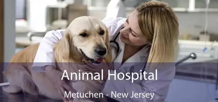 Animal Hospital Metuchen - New Jersey