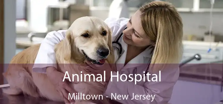 Animal Hospital Milltown - New Jersey