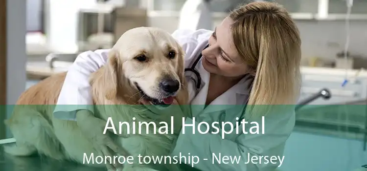 Animal Hospital Monroe township - New Jersey