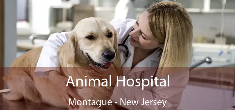 Animal Hospital Montague - New Jersey