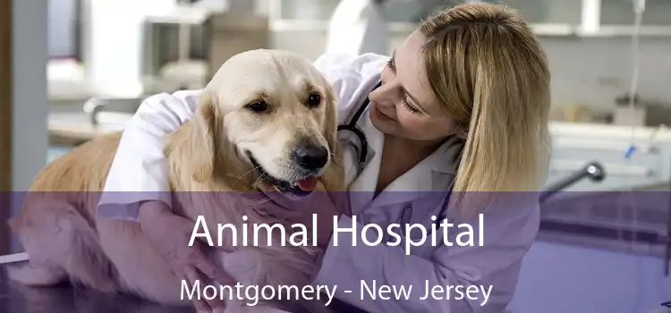 Animal Hospital Montgomery - New Jersey