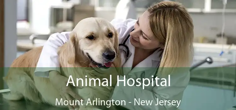 Animal Hospital Mount Arlington - New Jersey