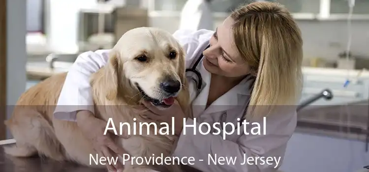 Animal Hospital New Providence - New Jersey