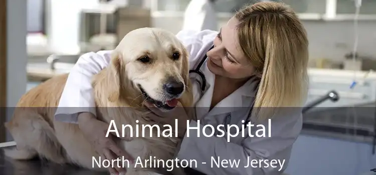 Animal Hospital North Arlington - New Jersey