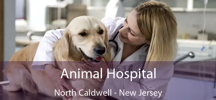 Animal Hospital North Caldwell - New Jersey