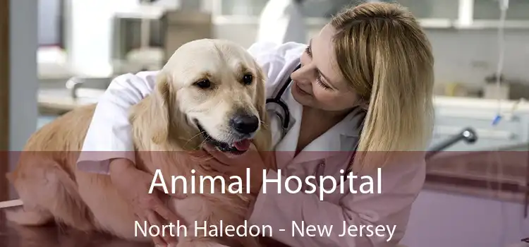 Animal Hospital North Haledon - New Jersey