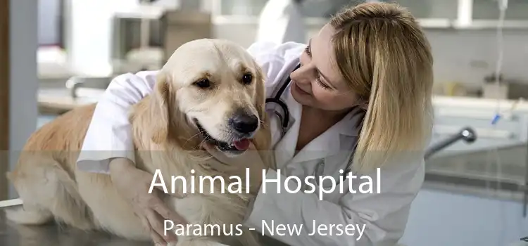 Animal Hospital Paramus - New Jersey