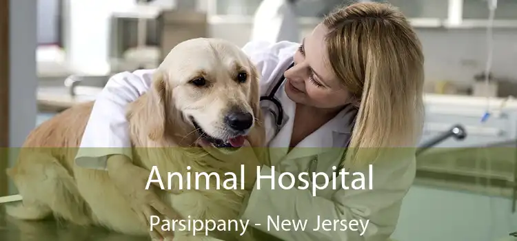 Animal Hospital Parsippany - New Jersey