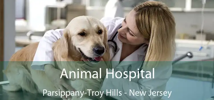 Animal Hospital Parsippany-Troy Hills - New Jersey