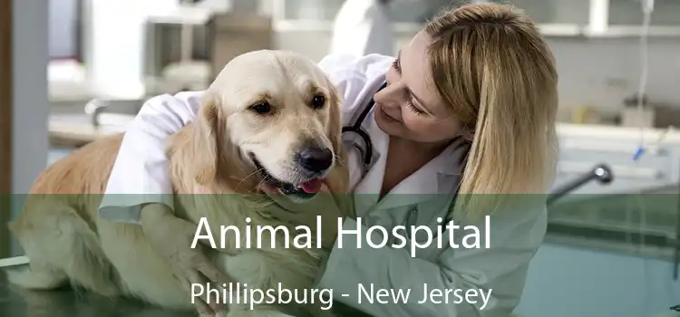 Animal Hospital Phillipsburg - New Jersey