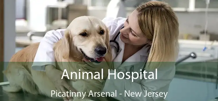 Animal Hospital Picatinny Arsenal - New Jersey