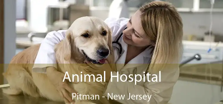 Animal Hospital Pitman - New Jersey