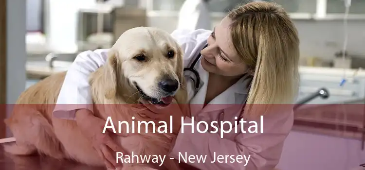 Animal Hospital Rahway - New Jersey