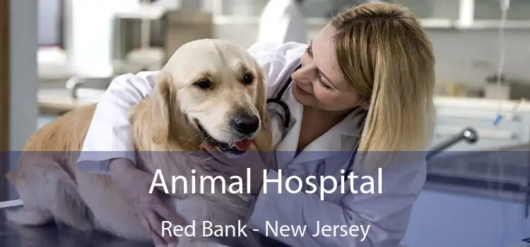 Animal Hospital Red Bank - New Jersey