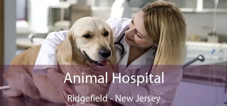 Animal Hospital Ridgefield - New Jersey