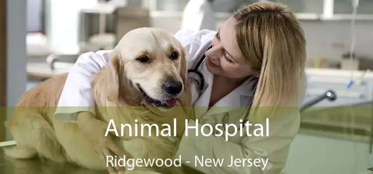 Animal Hospital Ridgewood - New Jersey