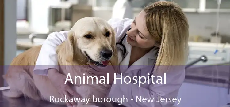 Animal Hospital Rockaway borough - New Jersey