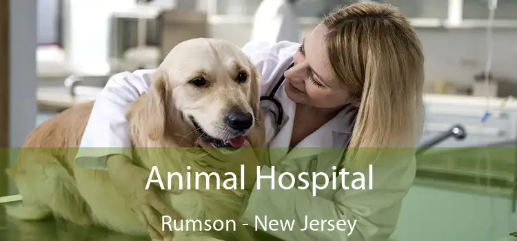 Animal Hospital Rumson - New Jersey