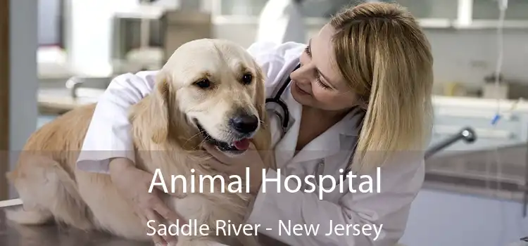 Animal Hospital Saddle River - New Jersey