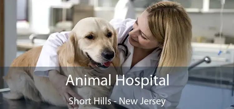 Animal Hospital Short Hills - New Jersey