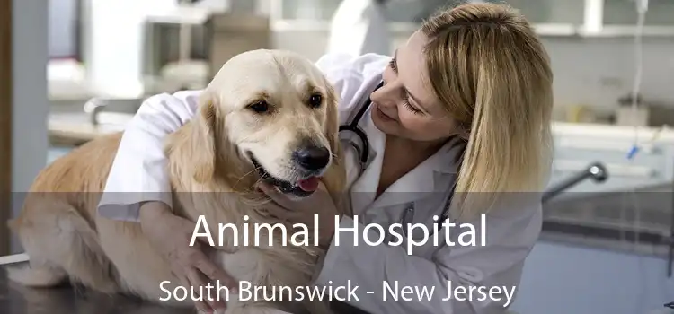 Animal Hospital South Brunswick - New Jersey