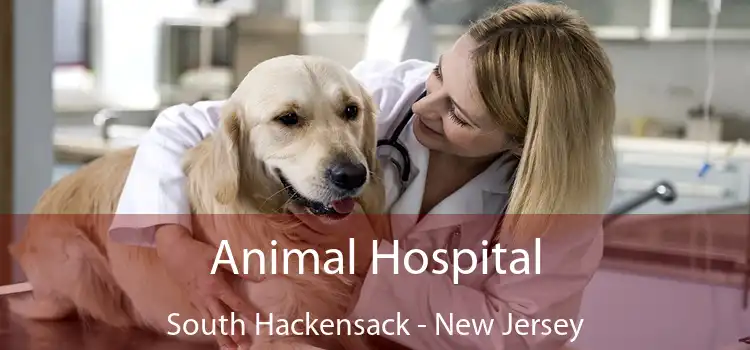 Animal Hospital South Hackensack - New Jersey