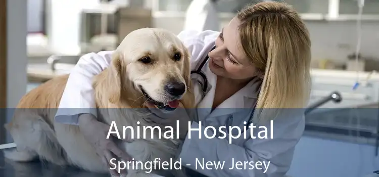 Animal Hospital Springfield - New Jersey