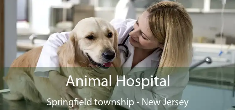 Animal Hospital Springfield township - New Jersey