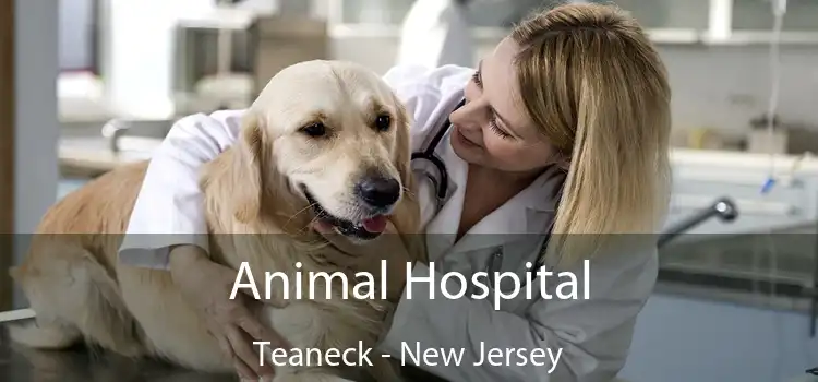 Animal Hospital Teaneck - New Jersey