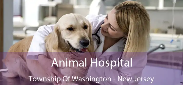 Animal Hospital Township Of Washington - New Jersey