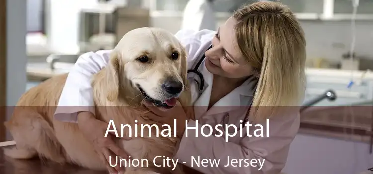 Animal Hospital Union City - New Jersey