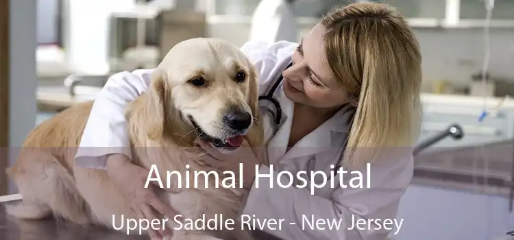 Animal Hospital Upper Saddle River - New Jersey