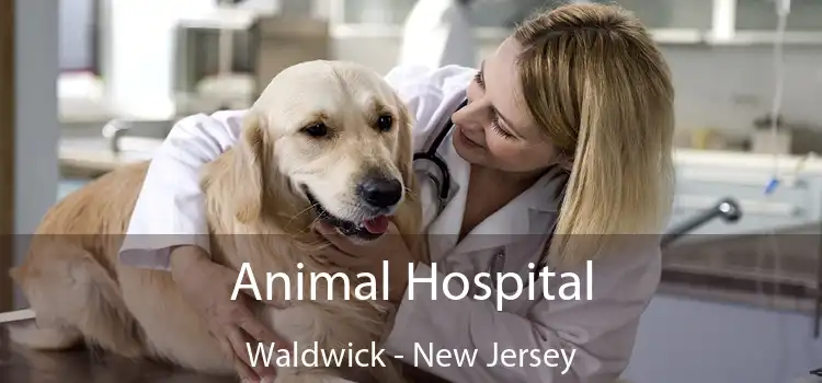 Animal Hospital Waldwick - New Jersey